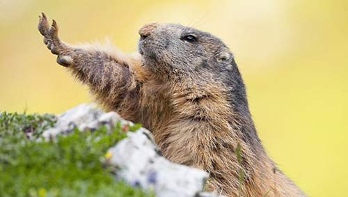 為何不堅(jiān)持你的夢想一路走下去(圖5)